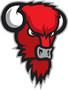 Nilan Bisons Loimaa