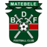 team-logo