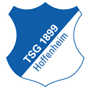 team-logo