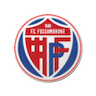 team-logo