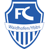 team-logo