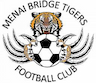 team-logo