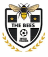 team-logo