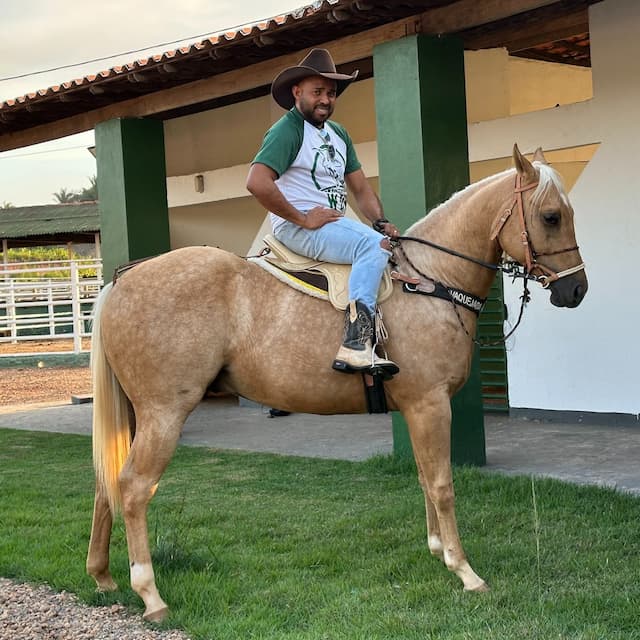Social