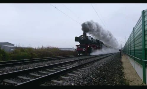 Social